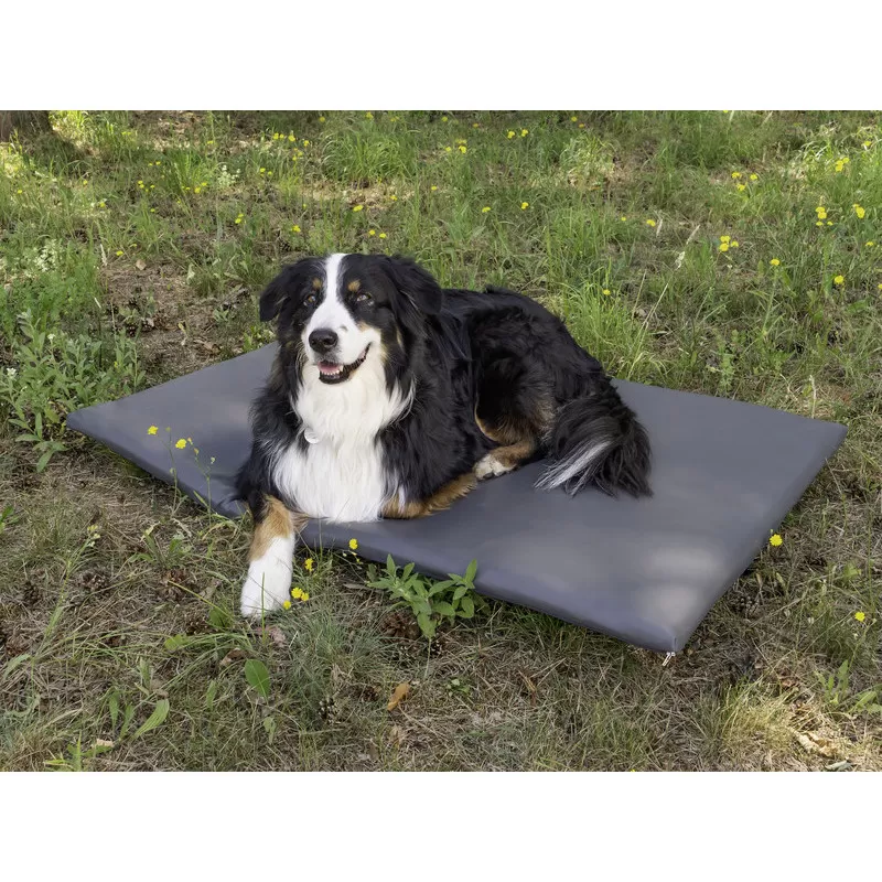 CAMP4 Matelas Pour Chien T5-T6 California 4 CAMP4 Matelas Pour Chien T5-T6 California – Image 2